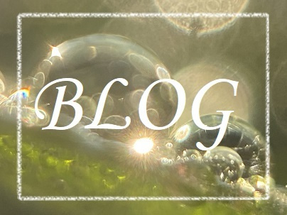 保護犬活動ブログ